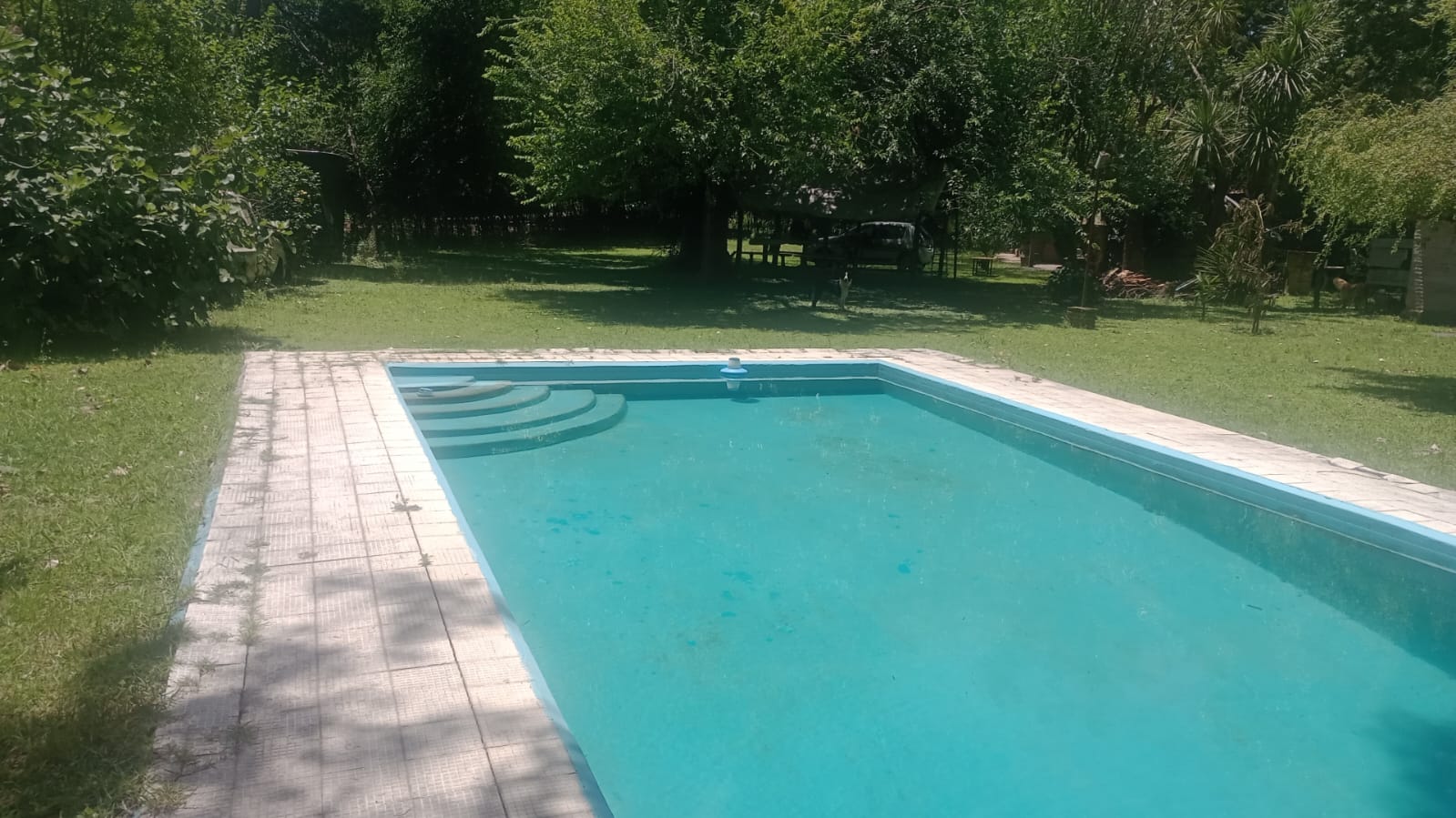 WhatsApp Image 2024-12-07 at 12.50.26.jpeg